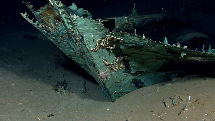 This photo provided by the NOAA Okeanos Explorer Program shows oxidized copper hull sheathing and possible draft marks visible on the bow of a wrecked ship in the Gulf of Mexico about 170 miles from Galveston, Texas. Officials with Texas A&M University at Galveston and Texas State University say the recovery expedition of the two-masted ship that may be 200-years-old, concluded Wednesday, July 24, 2013. Theyve been able to recover some items like ceramics and bottles, including liquor bottles, and an octant, a navigational tool. Other items spotted among the wreckage are muskets, swords, cannons and clothing. (AP Photo/NOAA Okeanos Explorer Program)