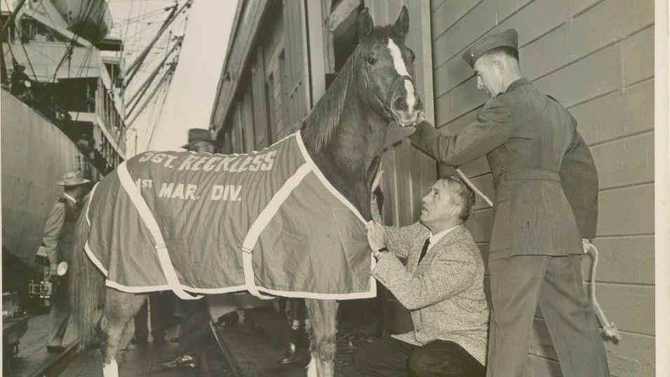 Historical photo of Staff Sgt. Reckless