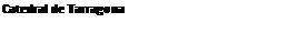 Text Box: Catedral de Tarragona