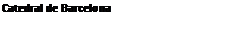 Text Box: Catedral de Barcelona