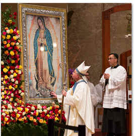 Image result for Cathedral of Our Lady of the Angels