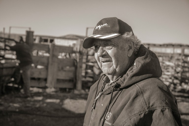 shearing-7302_lg-jpg